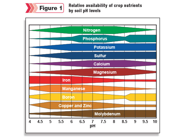 relative availability of crop nutrients