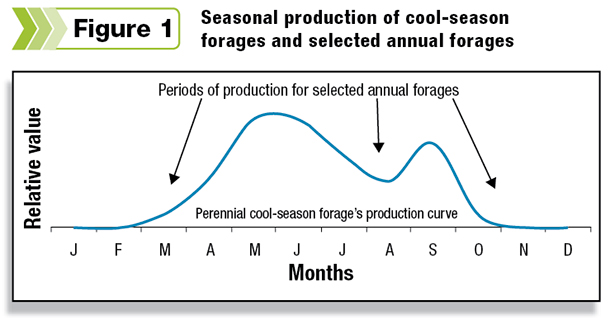 Seasonal production of cool-season foarages