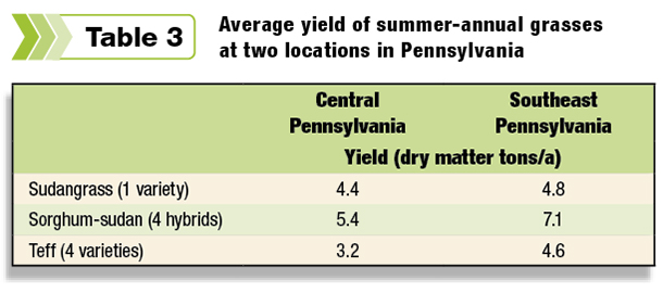 Average yield of summer annual grasses
