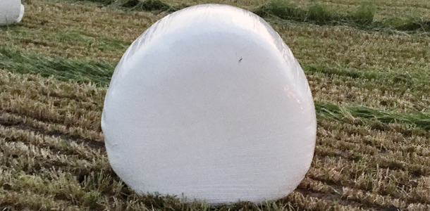 Wrapped hay bale