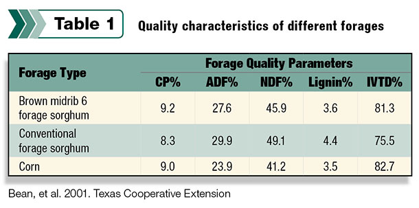 Quality characteristics of different forages
