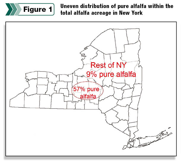 Un even distribution of pure alfalfa within the total alfalfa acreage in NY