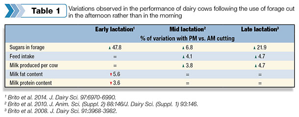 Variations observed in the performance of dairy cows following the use of forage cut in the afternoon