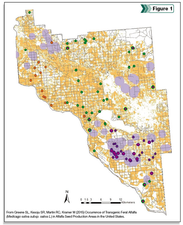 Alfalfa seed production areas in the United States