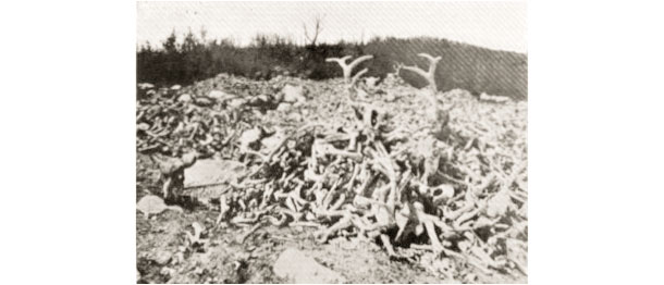 Bones delivered to the nearest collection site