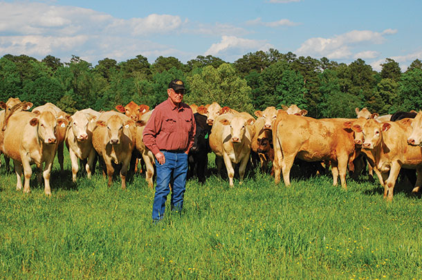 Roy Gene Britt an Arkansas cattleman