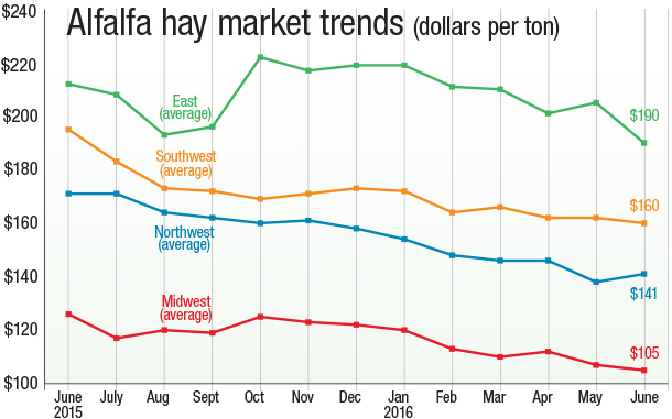 072916 alfalfa hay market trends