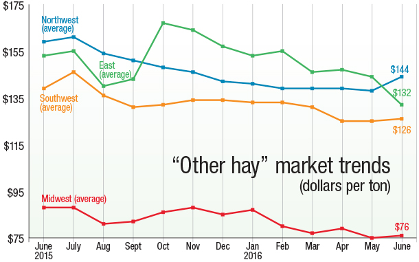 072916 other hay market trends