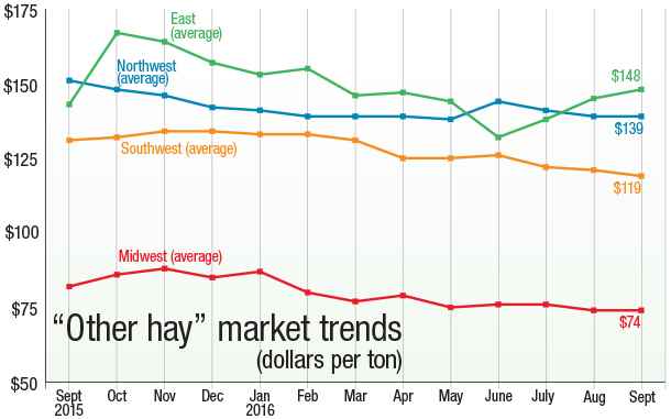 Other Hay Market Trends