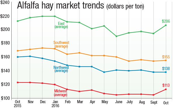 Alfalfa Market Trends