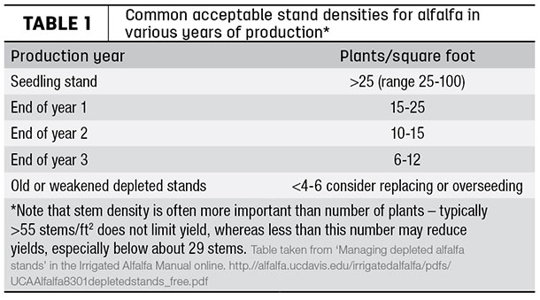 acceptable stand densities for alfalfa