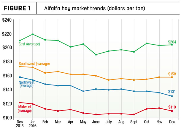 Alfalfa hay market trends 