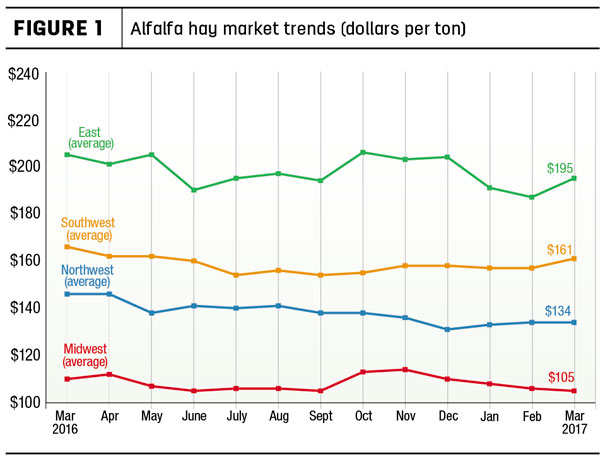 alfalfa hay market trends