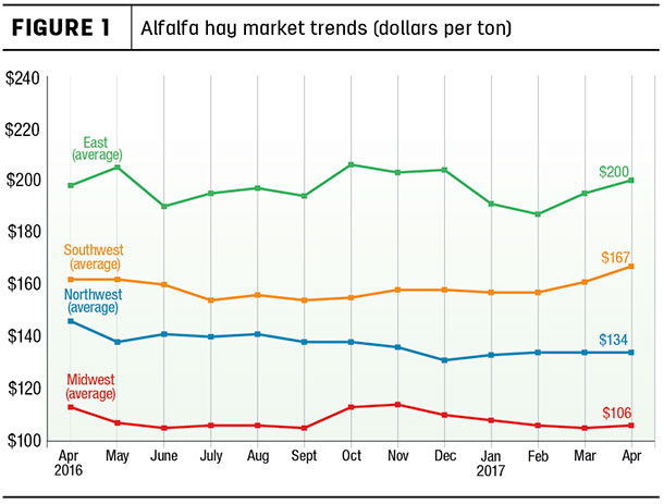 Alfalfa hay market trend