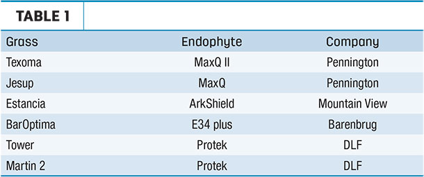 Novel endophyte table