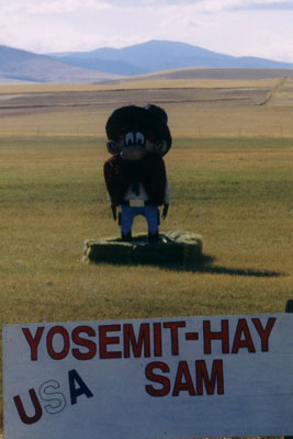 Yosemit-Hay Sam