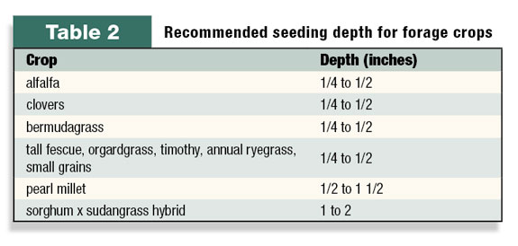 Recommended seeding depth for forage crops