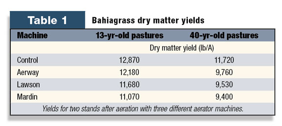 Bahiagrass dry matter yields