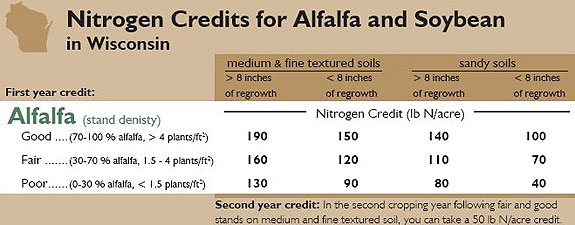 Nitrogen credits for alfalfa and soybeans