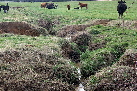 pasture erosion