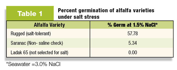 Percent of alfalfa germination