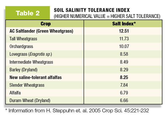 soil salinity