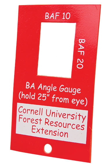 Cornell University Forest Resources Extension