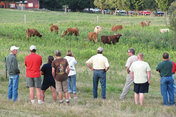 Pasture walk around the cattle and trees