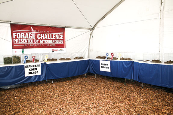 2013 World Ag Expo Forage Challenge