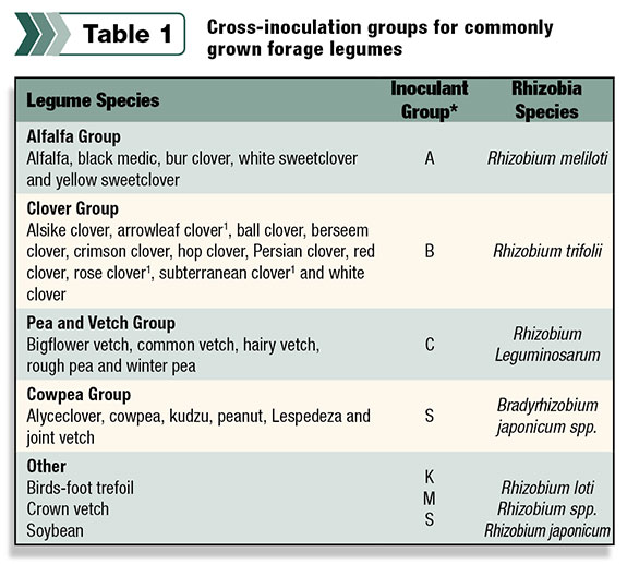 Cross inoculation groups for commonly grown forage legumes