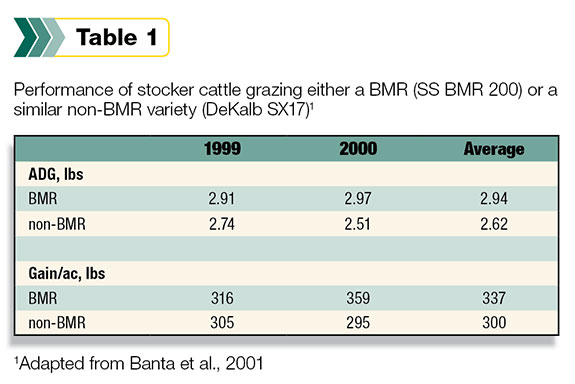 Performance of stock cows