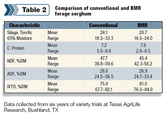 Comparison of conventional and BMR forage sorghum