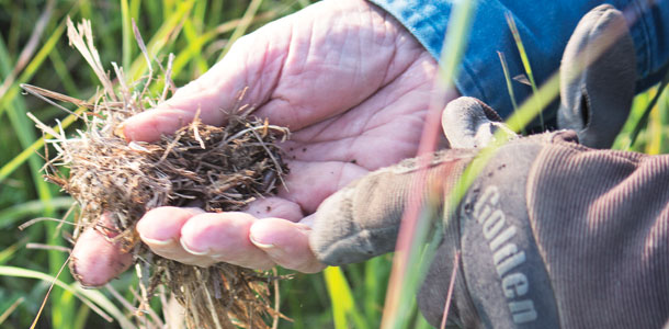 measures soil health, in part, by assessing plant litter in his pastures