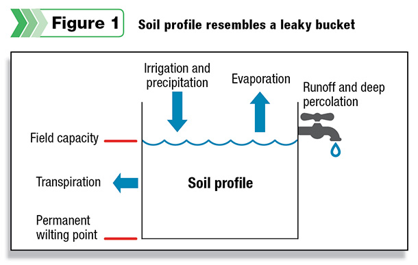 Soil profile resembles a leaky bucket