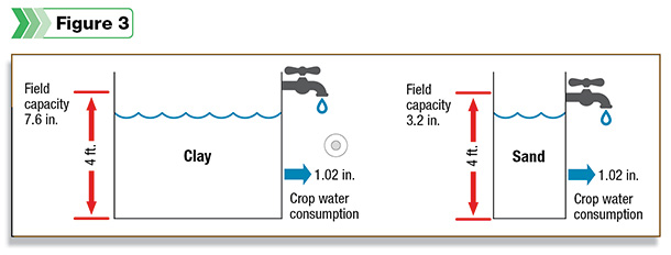 Crop water consumption