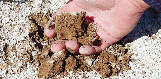 crusting is typical in saline soils