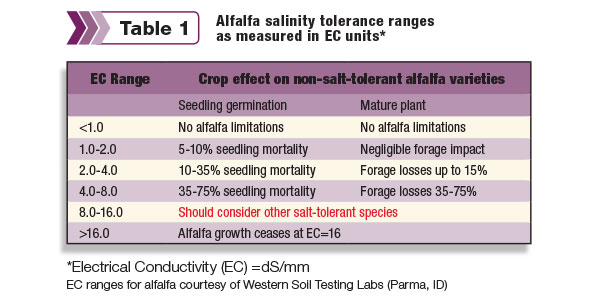 Alfalfa salinity tolerance ranges