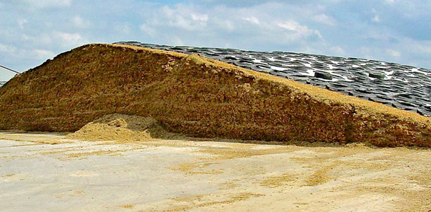 Properly shaped dive-over pile of corn silage
