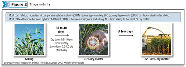 silage maturity