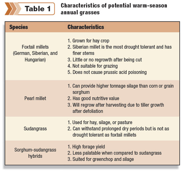 Characteristics of potential warm-season grasses