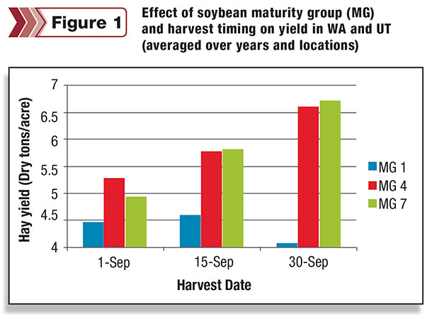 Effect of soybean maturity group