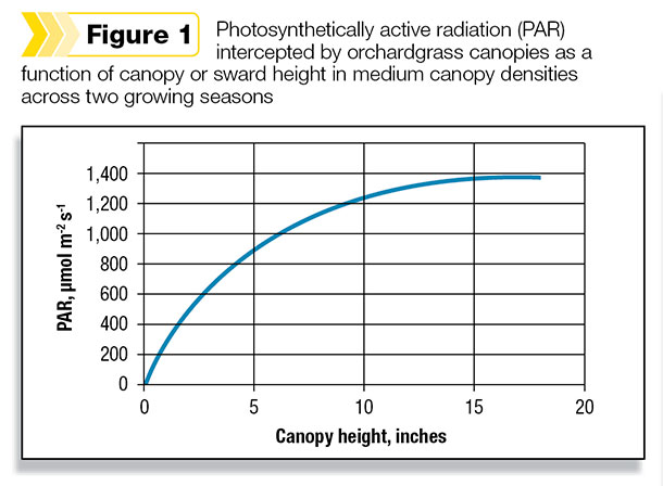 Photosynthetically active radiation 