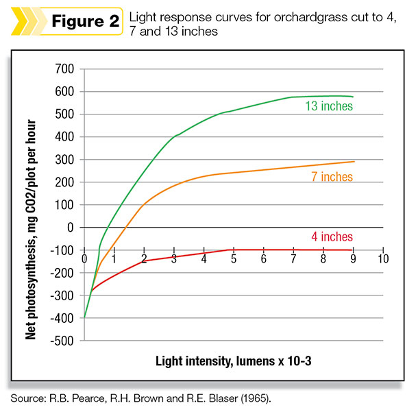 Light response curves