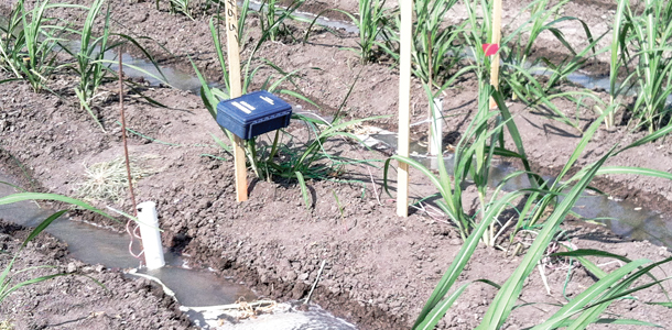 soil moisture meters