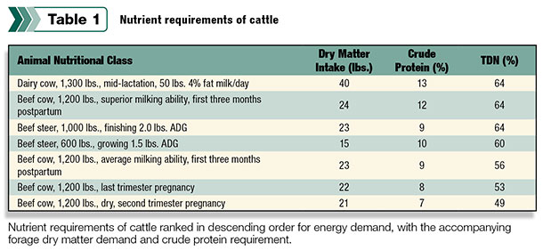 Nutrient requirements of cattle