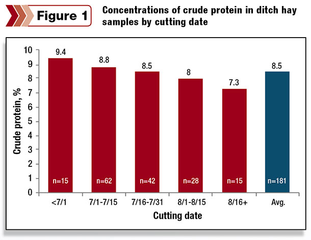 concentrations of crude protein in ditch hay