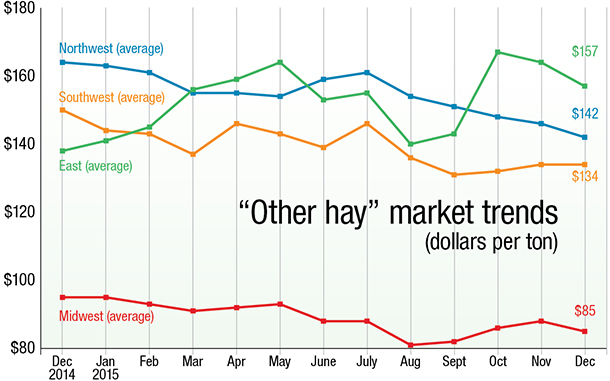 "other hay" market trends
