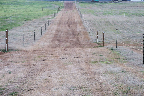Access traffic lane connects the paddocks, creating an easy access from pen to pen