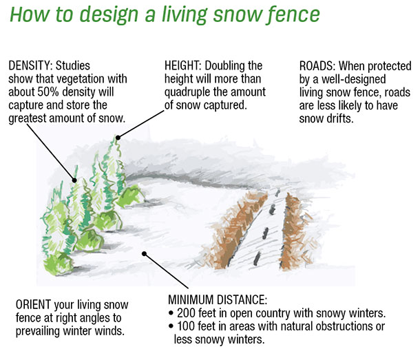 How to design a iving snow fence