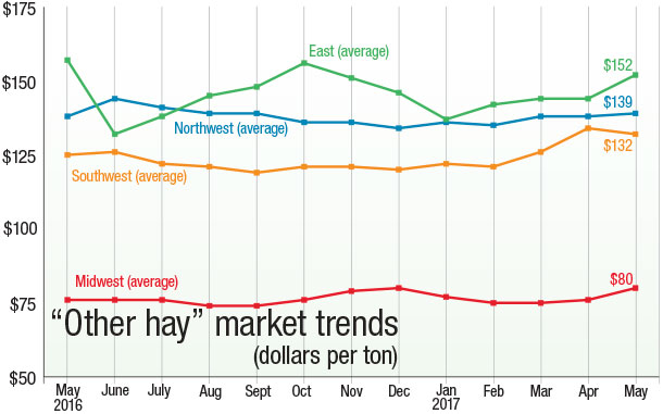 Other Hay Market Trends